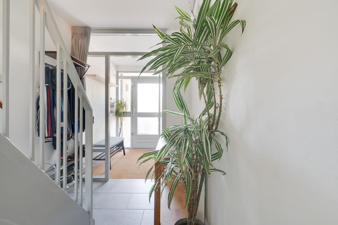 Foto 38 van Stetwaard 150