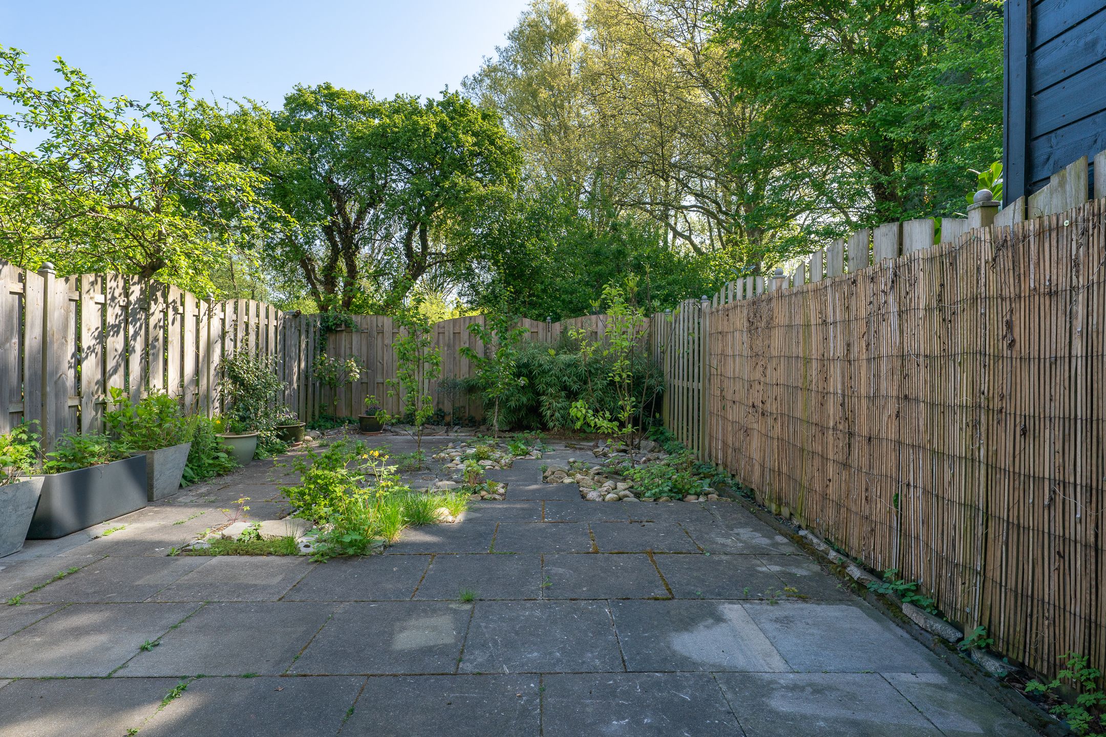 Foto 39 van Stetwaard 150