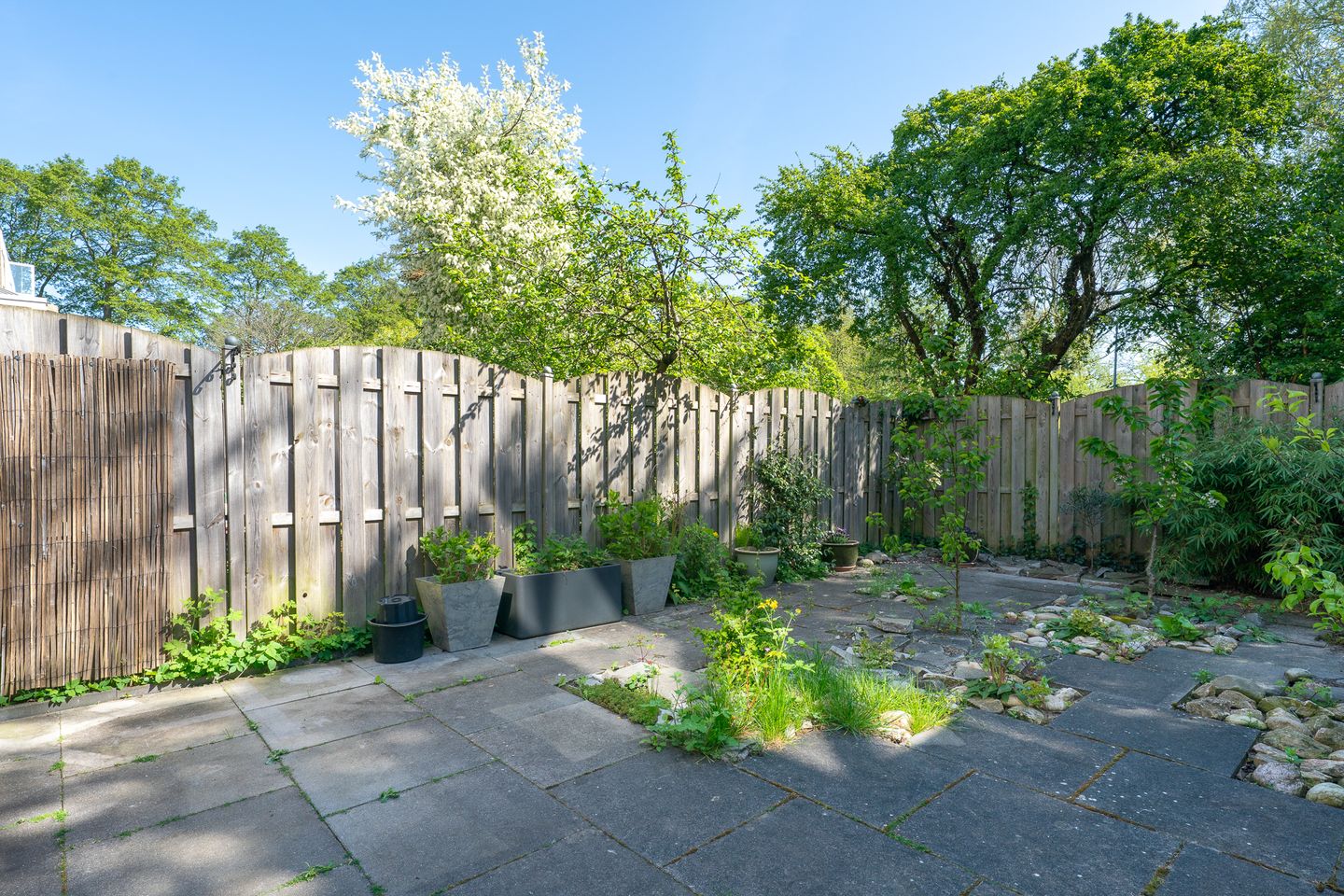 Foto 40 van Stetwaard 150