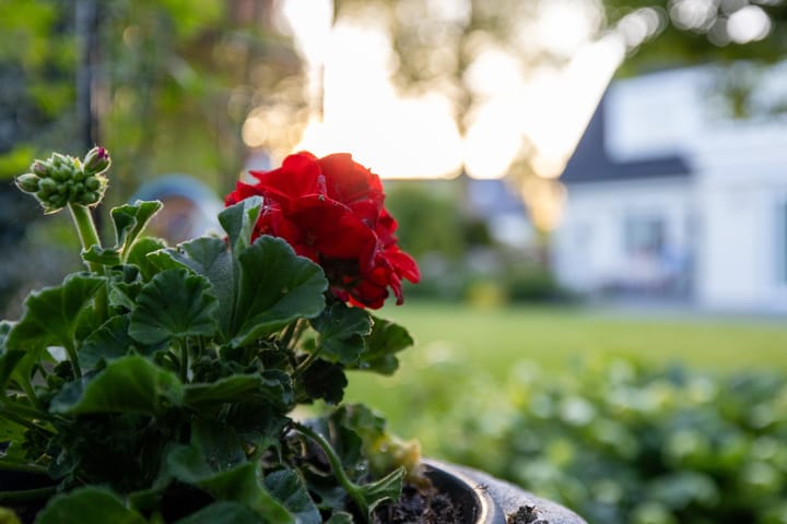 Foto 46 van Rondeweg 4