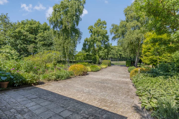 Foto 13 van Middelweg 3-A