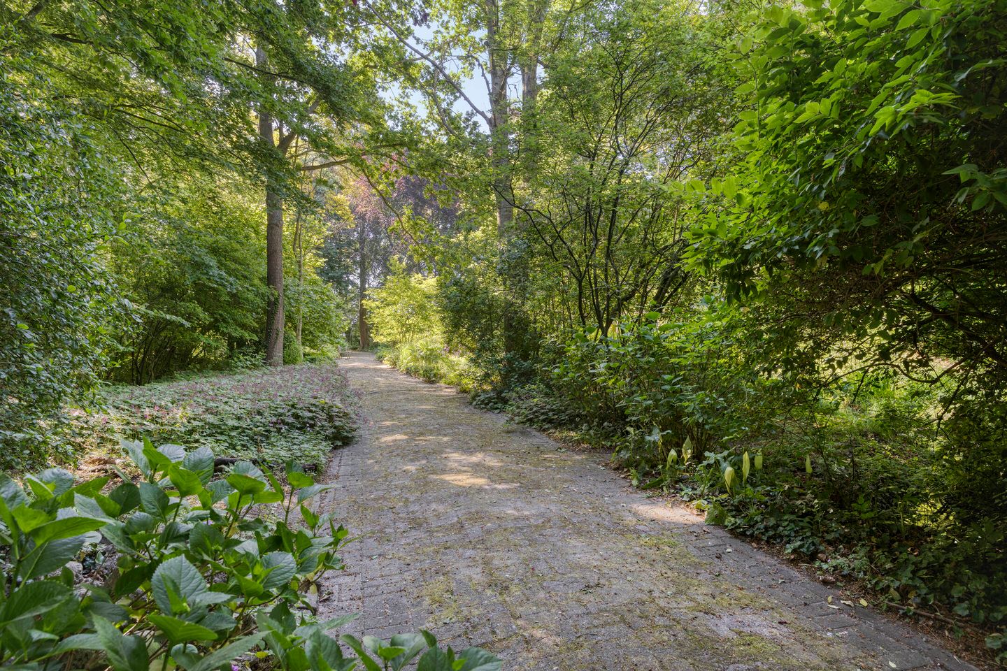 Foto 50 van Middelweg 3-A