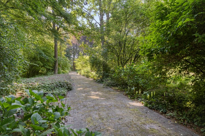 Foto 50 van Middelweg 3-A