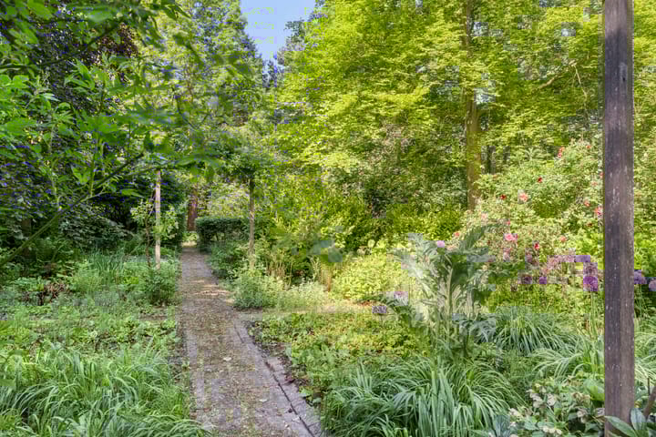 Foto 51 van Middelweg 3-A