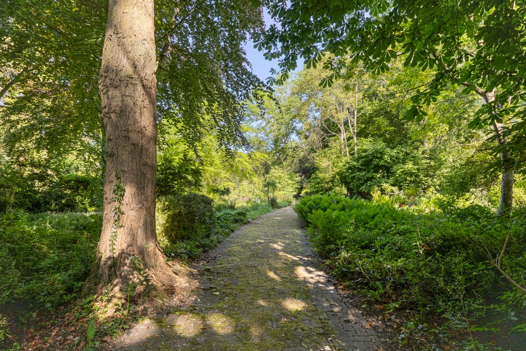 Foto 52 van Middelweg 3-A