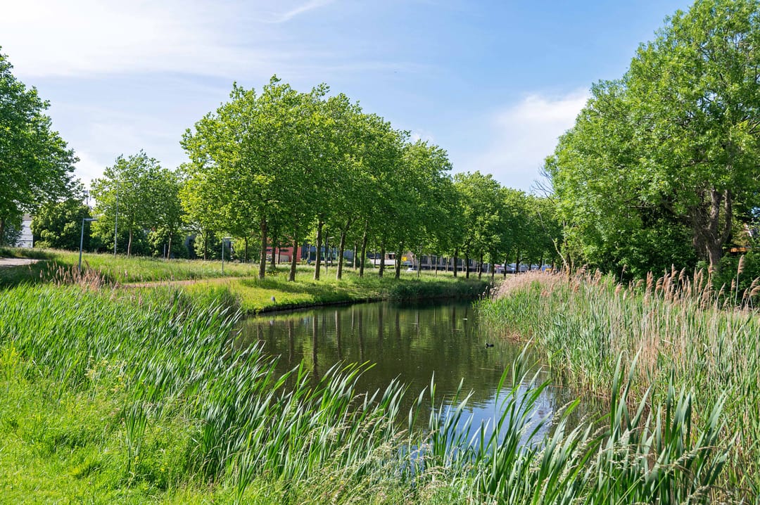 Foto 47 van Lindholm 139