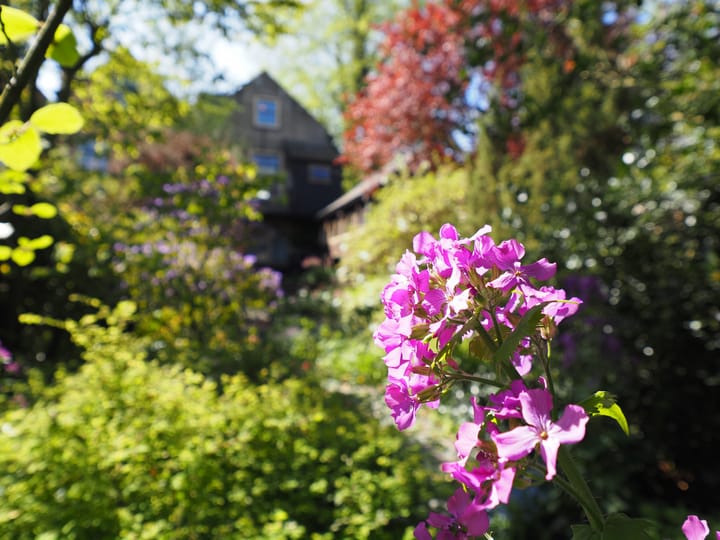 Foto 67 van Kerkbuurt 16