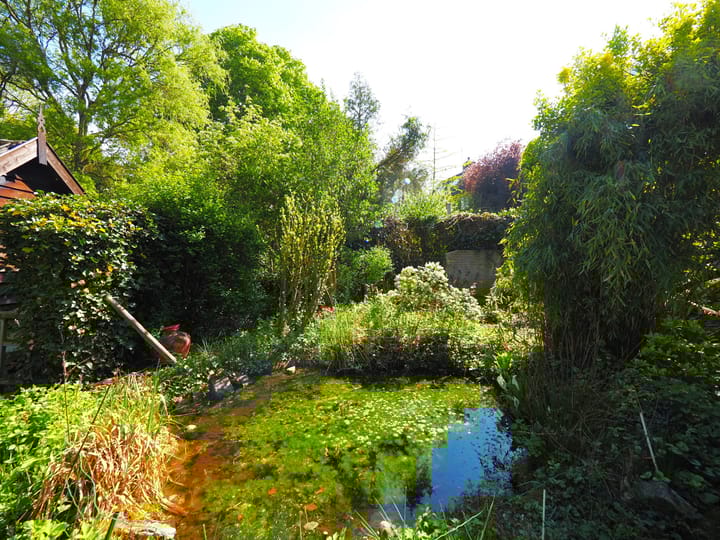 Foto 72 van Kerkbuurt 16