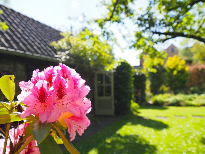 Foto 76 van Kerkbuurt 16