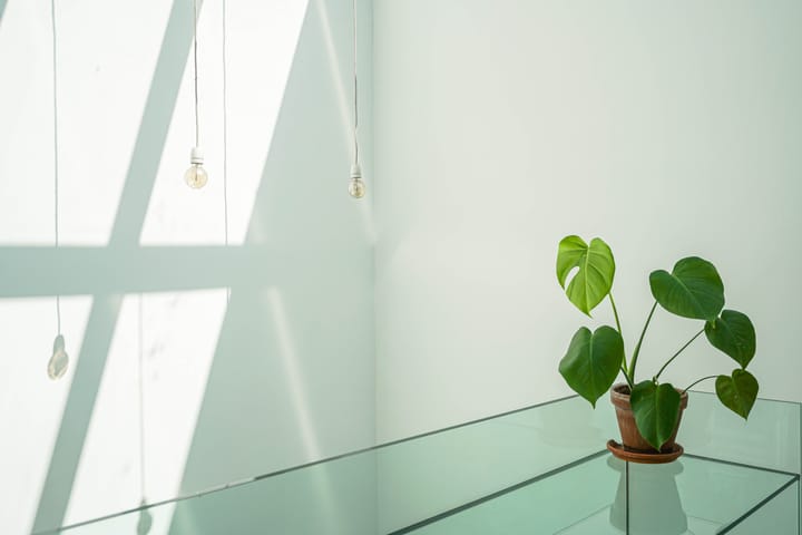 Foto 28 van Sint Geertruidensteeg 10