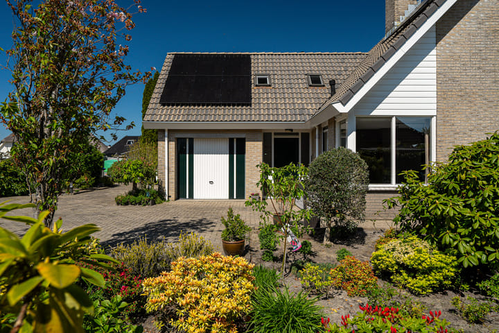 Photo 12 of Meerkoet 22