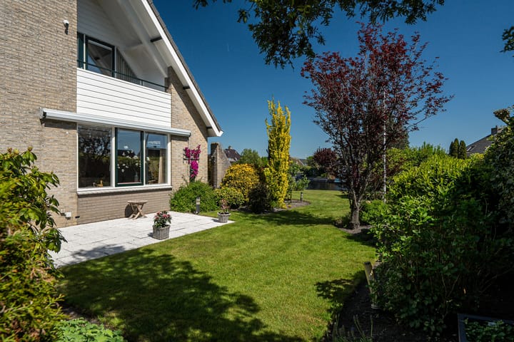 Photo 13 of Meerkoet 22