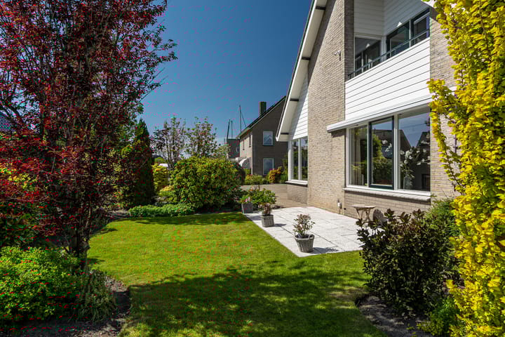 Photo 14 of Meerkoet 22