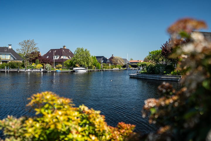 Photo 20 of Meerkoet 22