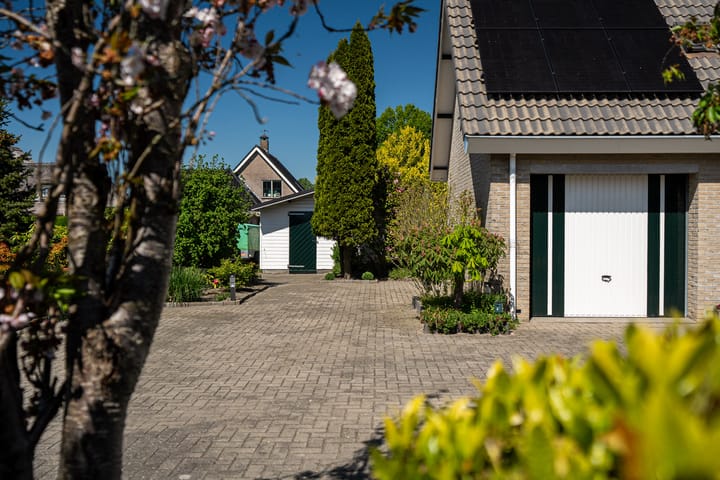 Photo 19 of Meerkoet 22