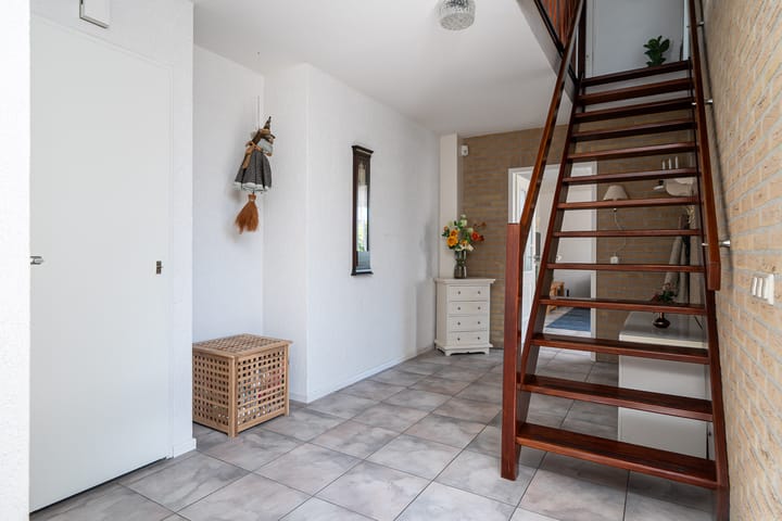 Photo 24 of Meerkoet 22