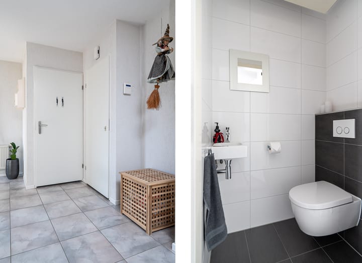 Photo 25 of Meerkoet 22