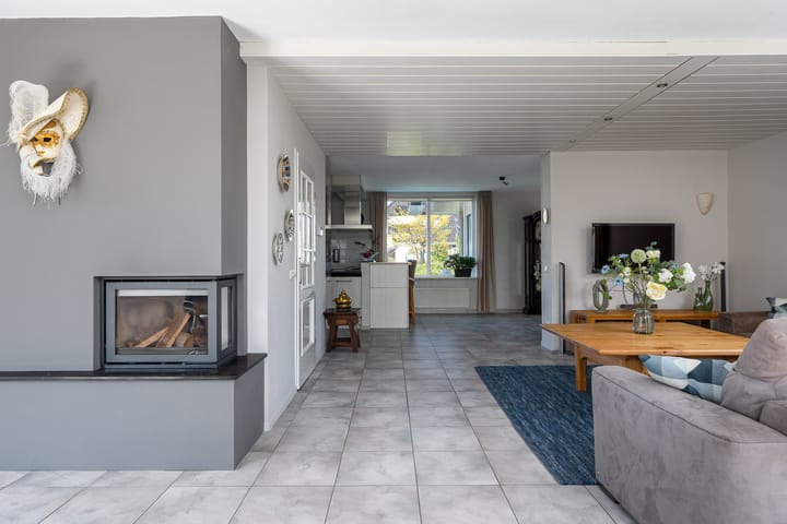 Photo 27 of Meerkoet 22