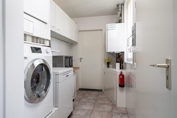 Photo 35 of Meerkoet 22