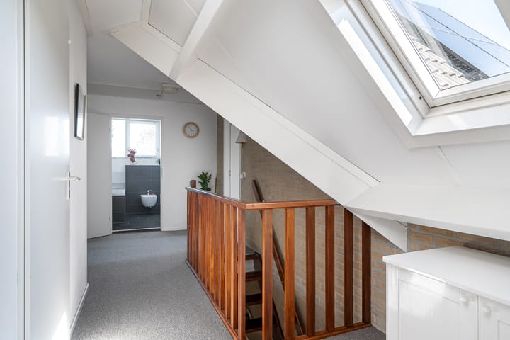 Photo 45 of Meerkoet 22