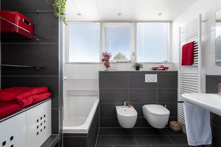 Photo 50 of Meerkoet 22