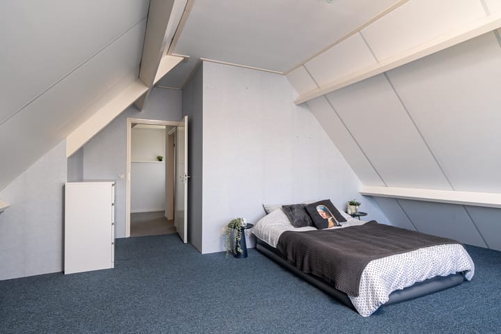 Photo 58 of Meerkoet 22