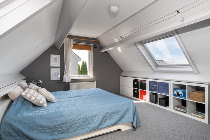 Photo 62 of Meerkoet 22