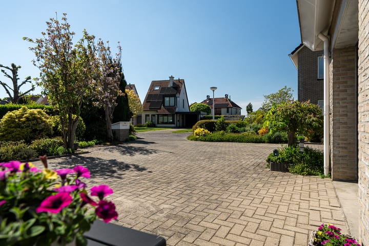 Photo 64 of Meerkoet 22