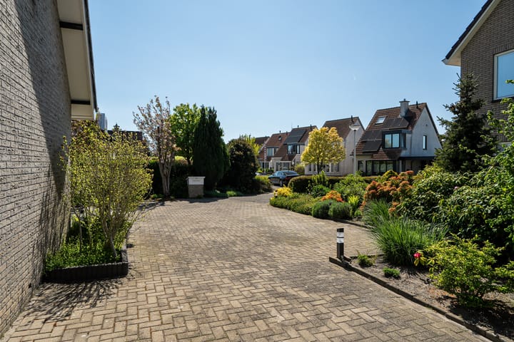 Photo 65 of Meerkoet 22