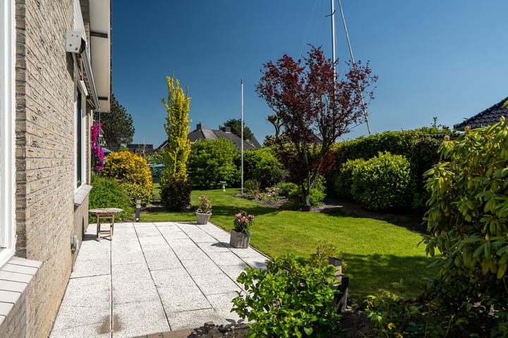 Photo 68 of Meerkoet 22