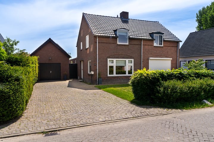 undefined main image