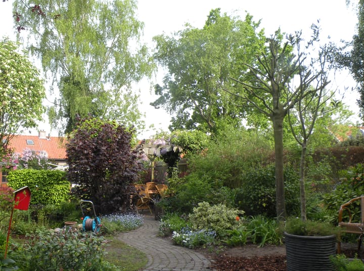 Photo 71 of Oude Graafseweg 224