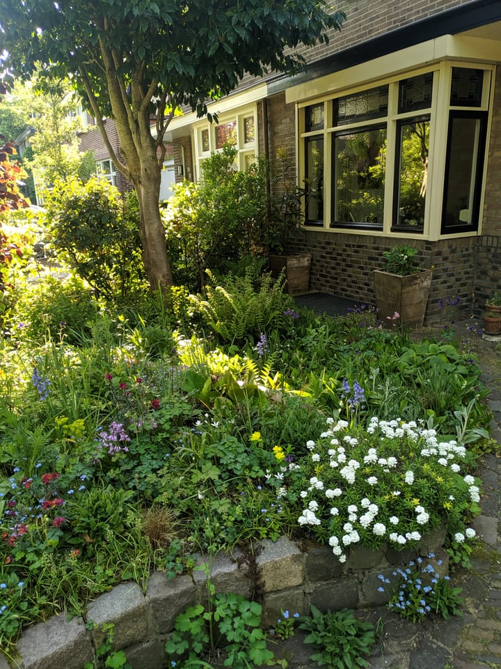 Photo 74 of Oude Graafseweg 224