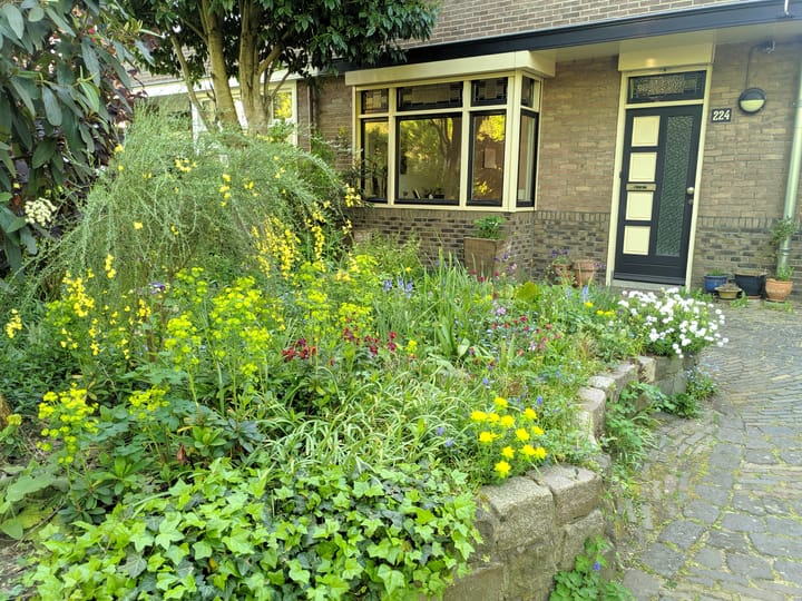 Photo 75 of Oude Graafseweg 224