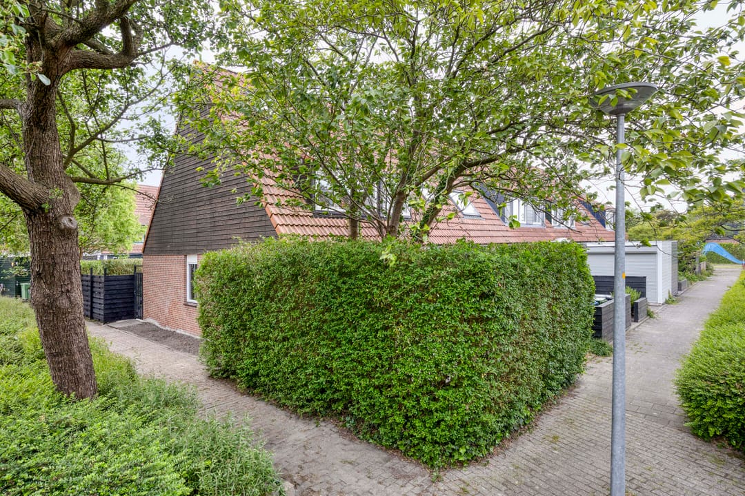 Foto 31 van Moraviëstraat 12