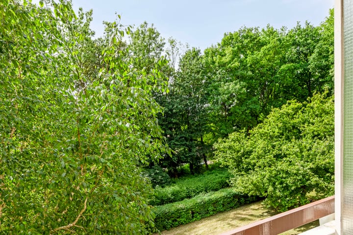 Foto 17 van Van Nijenrodeweg 513