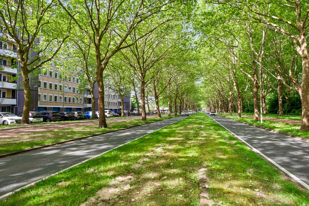 Foto 26 van Van Nijenrodeweg 513