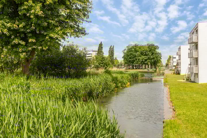 Foto 31 van De Waag 5