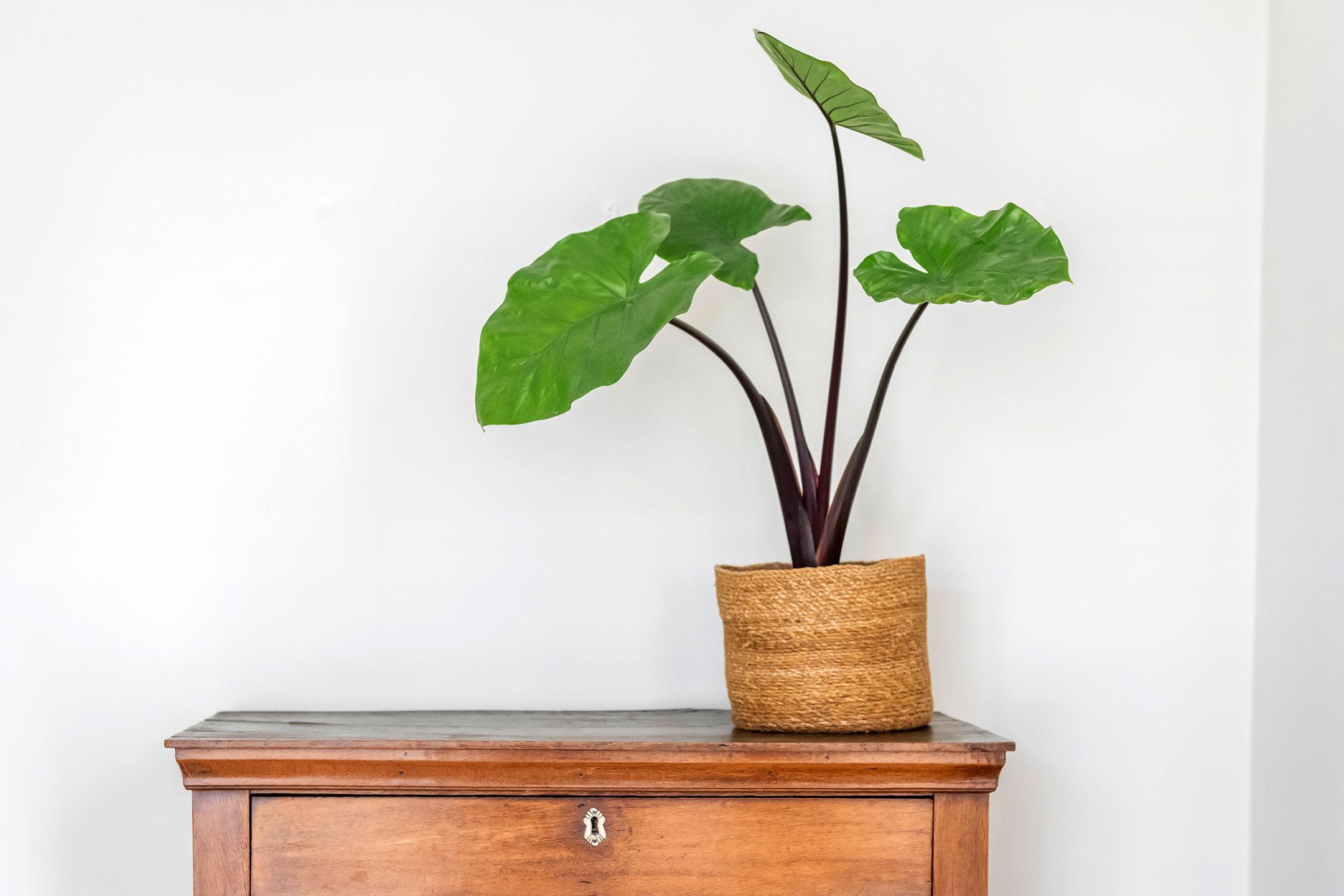 Foto 12 van Molenstraatje 41