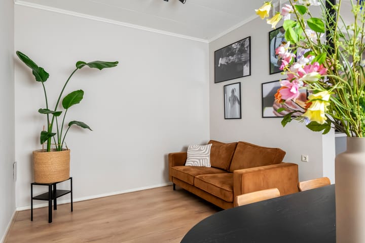 Photo 18 of Molenstraatje 41