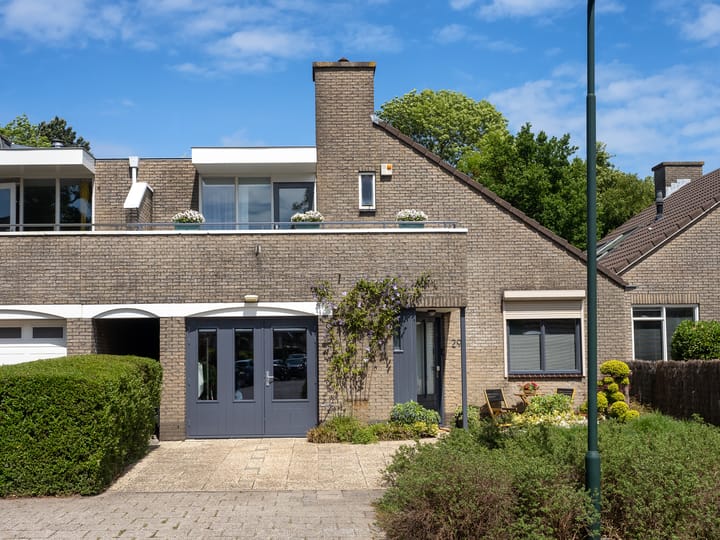 De Waard 29
