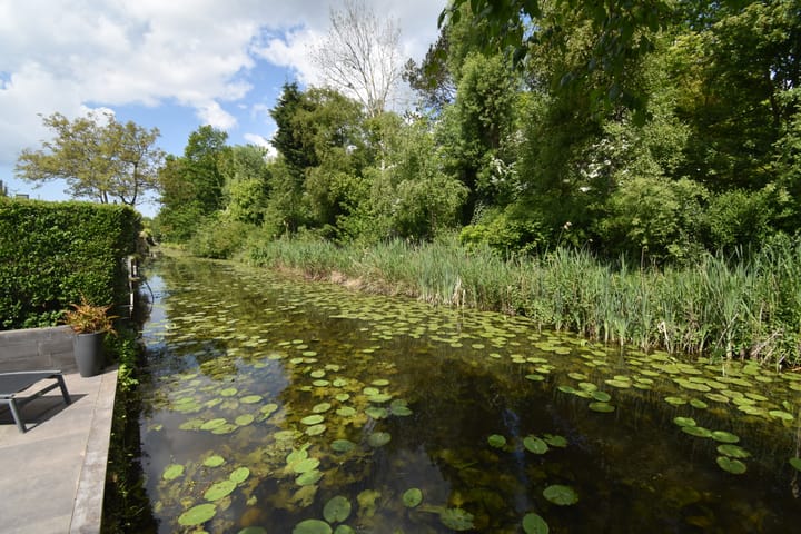 Foto 16 van De Waard 29