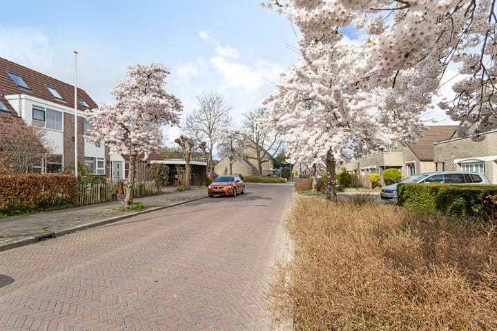 Foto 34 van De Waard 29