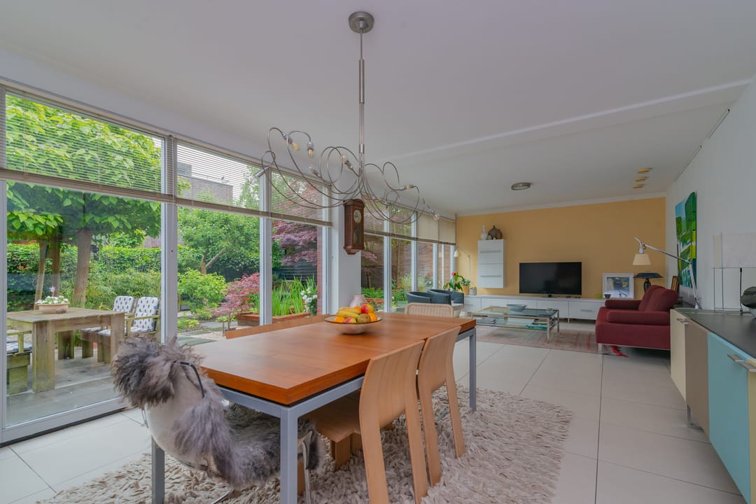 Photo 2 of Professor Pigracht 28