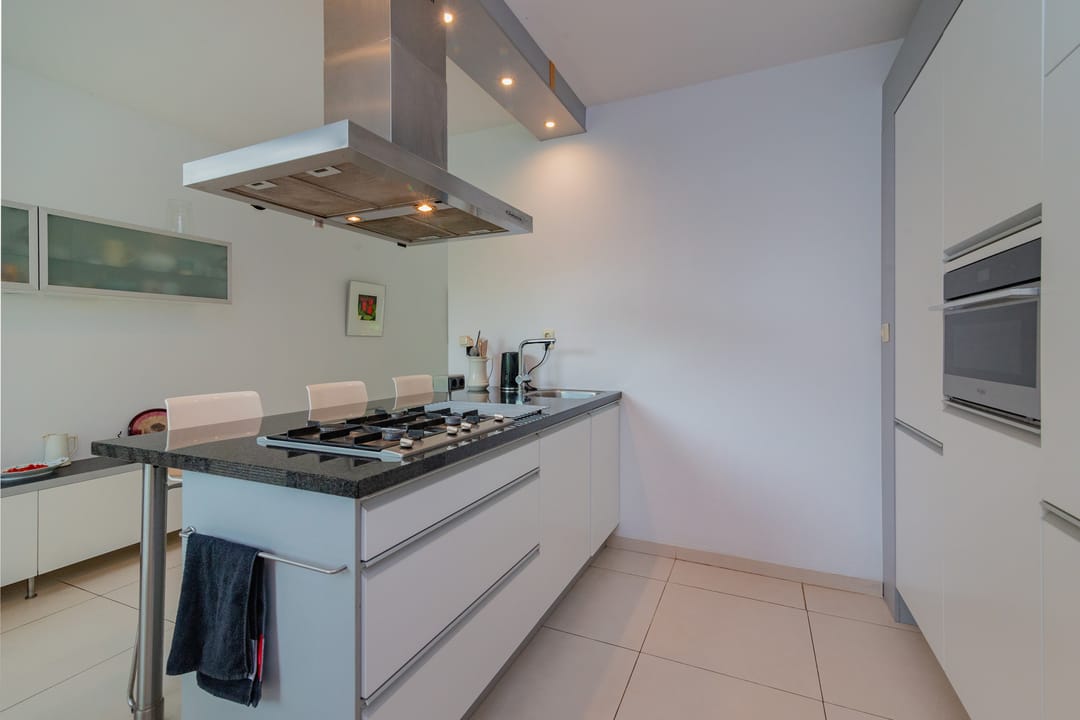 Photo 11 of Professor Pigracht 28