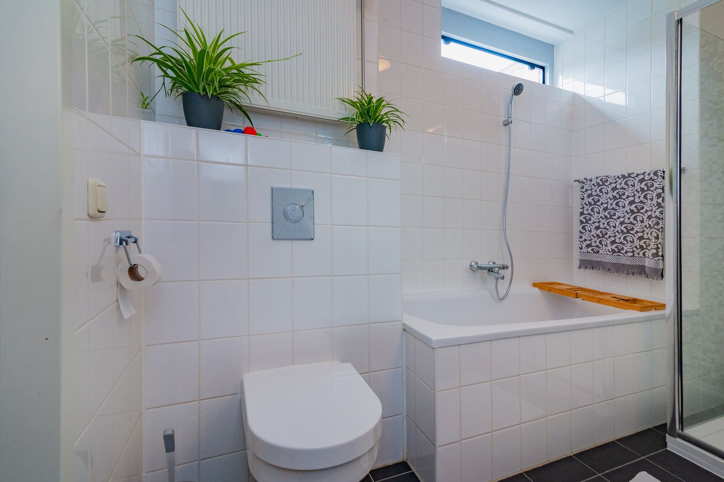 Photo 14 of Professor Pigracht 28