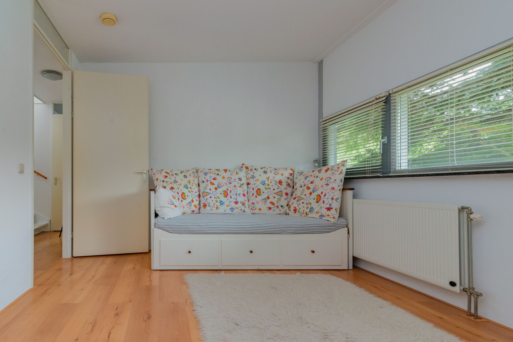 Photo 18 of Professor Pigracht 28