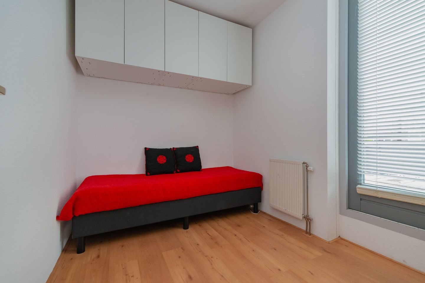 Photo 19 of Professor Pigracht 28