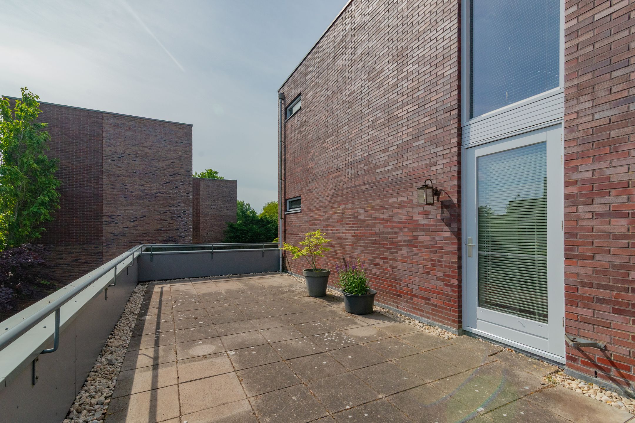 Photo 21 of Professor Pigracht 28