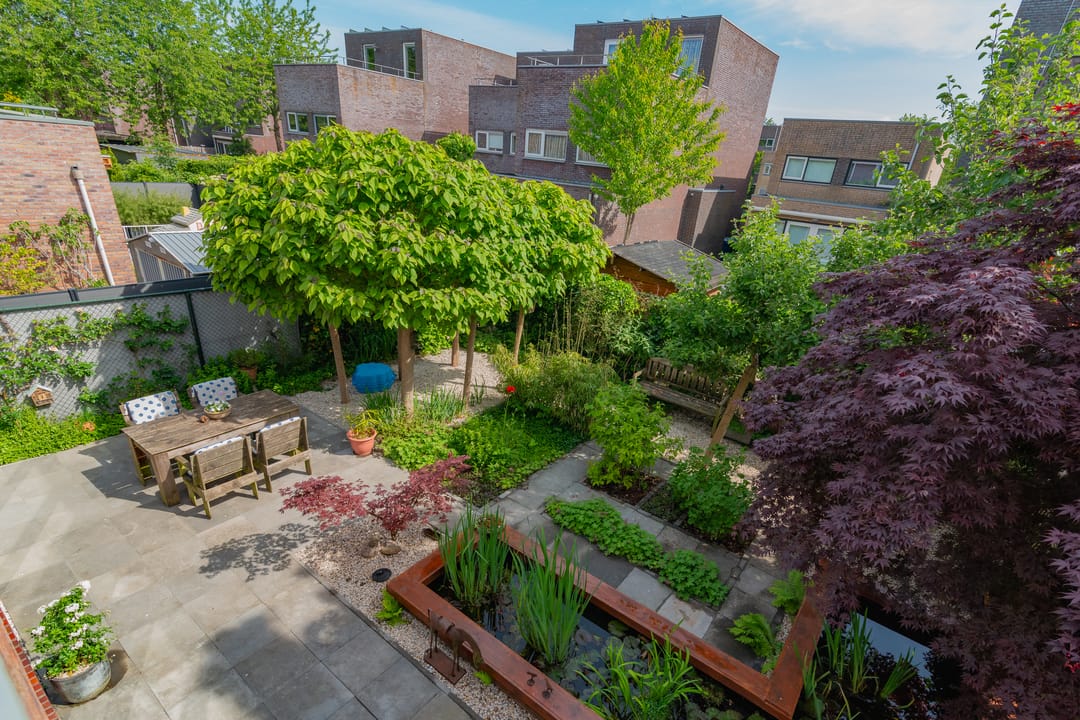 Photo 22 of Professor Pigracht 28